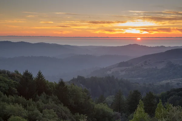 Nebliger Wald sanfte Hügel Meer Sonnenuntergang der Santa-Cruz-Berge. — Stockfoto