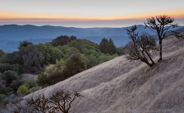 Sunset at Russian Ridge Open Space Preserve, San Mateo County — Stock Photo, Image