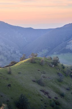 Günbatımı Mt şeker hastalığı State Park, Contra Costa County, Kaliforniya