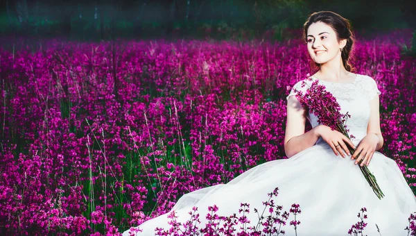 O mireasă frumoasă într-un câmp de flori. Fata într-o rochie albă cu un buchet într-un câmp de vară la apusul soarelui — Fotografie, imagine de stoc