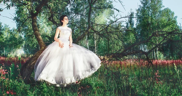 Pengantin cantik dengan gaun putih duduk di cabang pohon — Stok Foto