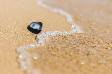 Deniz arka plan dalgalar karşı temiz kumlu plajda seashell ile
