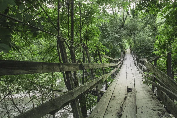 Paesaggio con alberi di montagna e un fiume di fronte — Foto Stock