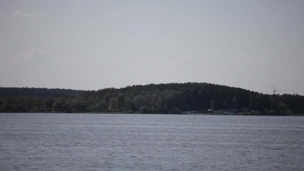 Barco à vela no fundo da floresta — Vídeo de Stock