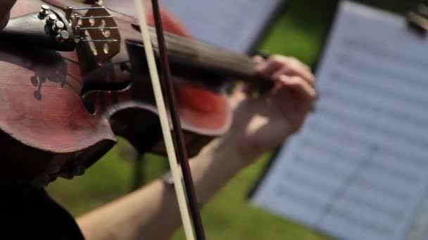 Una música femenina tocando un violín en una orquesta. Primer plano detalle disparo . — Vídeo de stock