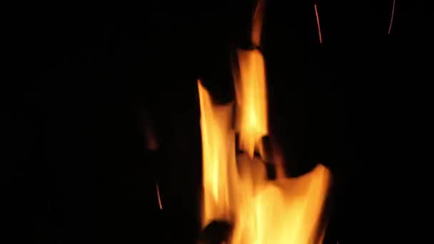 Burning ash rise in the night sky — Stock Video