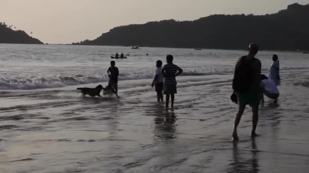 GOA, INDIA - 10 DE FEBRERO DE 2014: Grupo de personas en la playa de Palolem jugando con perros . — Vídeos de Stock