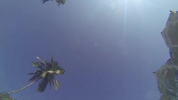Muž, plavání. Záběr z pod vodou. Palm pozadí. — Stock video
