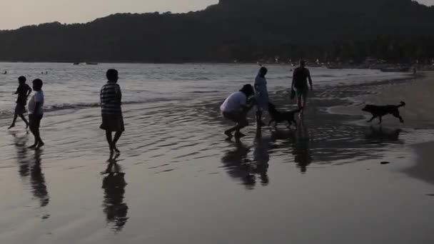 Goa, India - 10 februari 2014: Groep van mensen op het strand van de Palolem spelen met honden. — Stockvideo