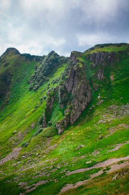 Ukrayna, Karpatlar, güzel taş
