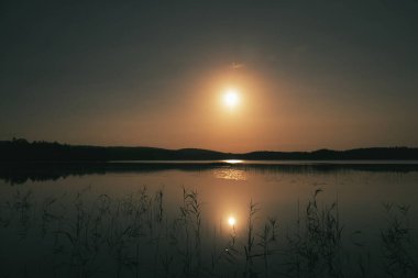 Altın ışık, sazlıklar ve orman tarafından çerçevelenmiş sakin göle yansıyor. Uyum ve doğal güzelliklerle dolu huzurlu bir an..