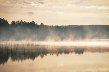 İsveç 'te ayna benzeri bir göl üzerinde pitoresk bir sabah sahnesi gözler önüne seriliyor. Sis ya da buhar gizemli bir şekilde su yüzeyinden yükselir, karanlık bir orman silueti tarafından çerçevelenir..