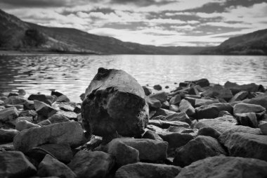 Norveç 'te bir ağaç gövdesi ve köpüklü suyla kayalık bir göl kıyısına alçak bir perspektif. Arka planda, dağ yamaçları sonbahar sarı tonlarında parıldıyor..