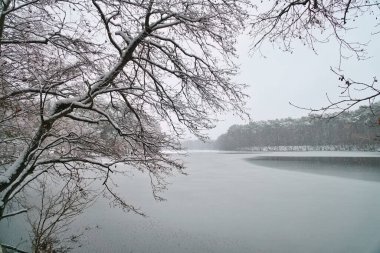 Donmuş göllü karlı kış manzarası, ön planda çıplak dallar ve sessiz orman arka planı, sakin, kış atmosferiyle dolu doğal bir manzara..