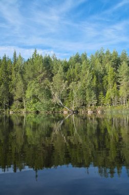 Mavi gökyüzünün altındaki yeşil ağaçların yansımalarıyla sakin bir göl. Bulutlu, huzurlu doğal bir ortam. Rahatlamak ve ilham vermek için..