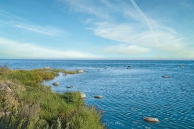 Mavi suyu, yeşil bitki örtüsü ve geniş gökyüzü olan sakin bir sahil şeridi. Işıklı, geniş ve deniz atmosferli huzurlu bir doğa anı..