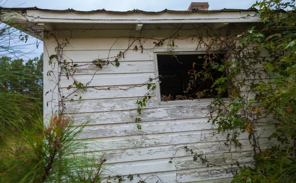 Lonely window — Stock Photo, Image