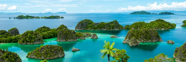 Osamělý zelené ostrovy v tyrkysové vodě v Raja Ampat Papua Nová Guinea — Stock fotografie