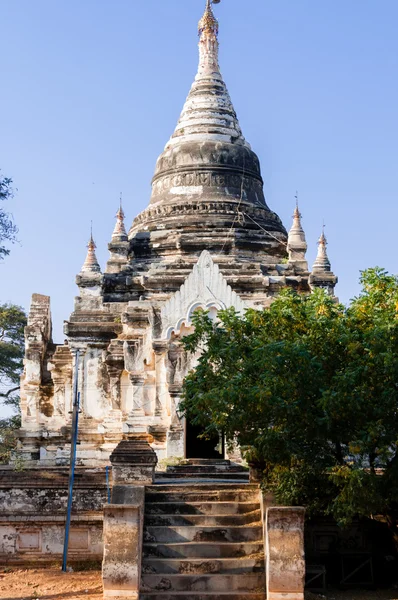 Przedniej części biała Pagoda z drzewa w Bagan — Zdjęcie stockowe