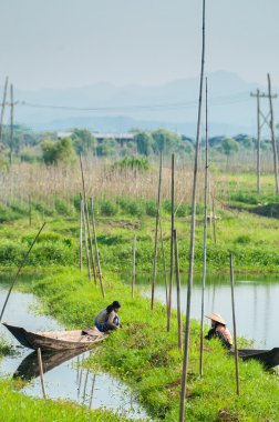 İki çiftçi tekne yüzen Garden çalışma