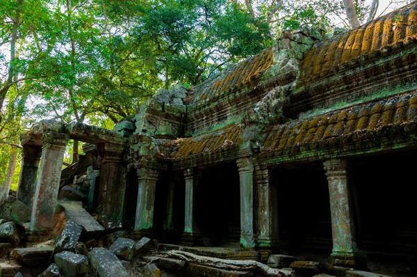 Stone tempel Ta Prohm — Stockfoto