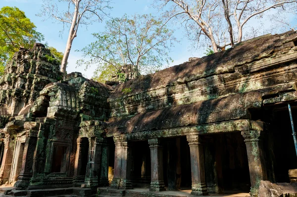 Stone tempel Ta Prohm — Stockfoto