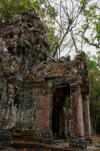 Stone ingang van de tempel Ta Prohm — Stockfoto