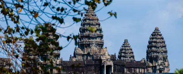 Feuilles devant Angkor Wat — Photo