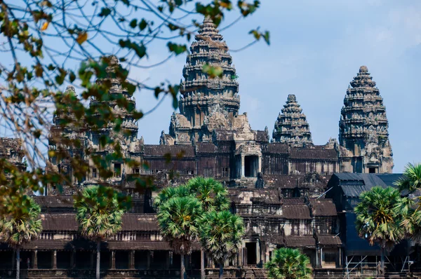 Feuilles devant Angkor Wat — Photo