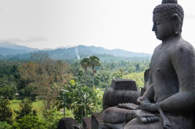Borobudur jungle taş Buda oturan meditasyon