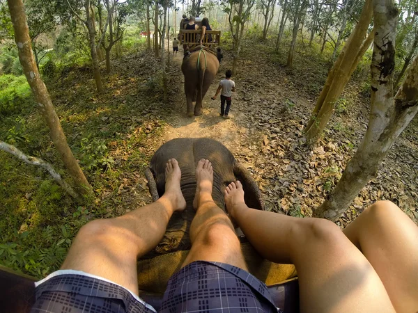 Two person feet on top of elephant — Stock Photo, Image