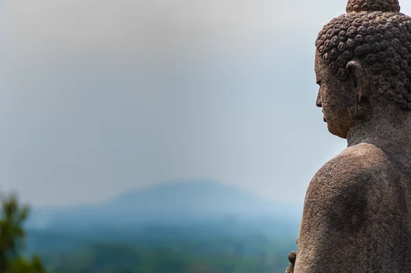 Méditer assis Bouddha dans la pierre au-dessus de la jungle à Borobudur — Photo