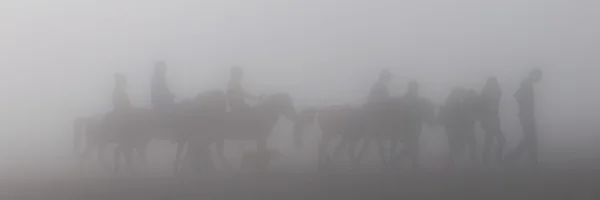 İnsanlar ve atlar sis veya sis silüeti - Stok İmaj