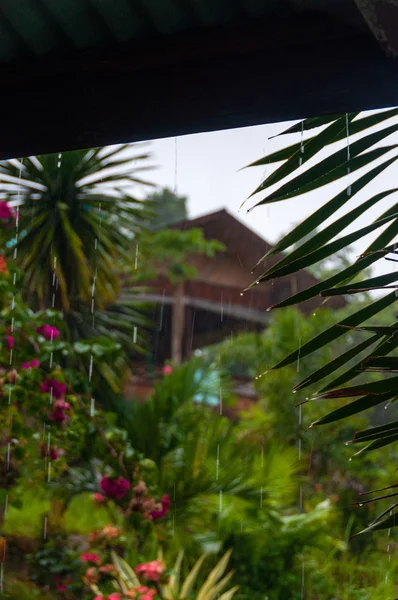 A chuva derramando gotas pesadas — Fotografia de Stock