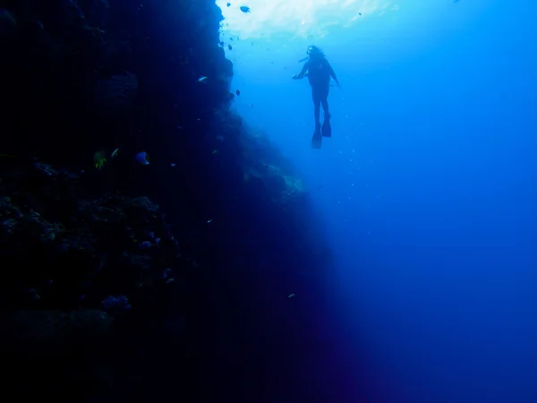 Silhouette de plongeur à un mur avec poissons et coraux — Photo