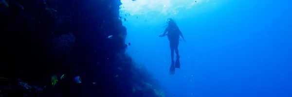 Silhuetten av dykare på en vägg med fiskar och koraller — Stockfoto