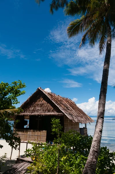 Lonely Nipa Hut on stilts with palm tree at a Beautiful Beach in front of the ocean — Stock Photo, Image