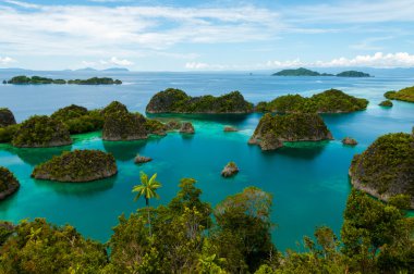 Fam Adası, deniz Raja Ampat, Papua Yeni Gine'na ait birçok küçük yeşil ada