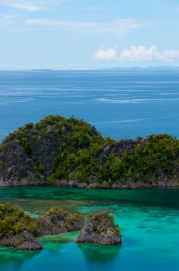 Fam ada, deniz Raja Ampat, Papua Yeni Gine ait küçük yeşil Adaları