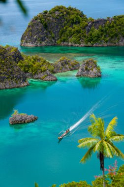 Fam ada, deniz Raja Ampat, Papua Yeni Gine ait seyir çevrede küçük yeşil adalar tekne