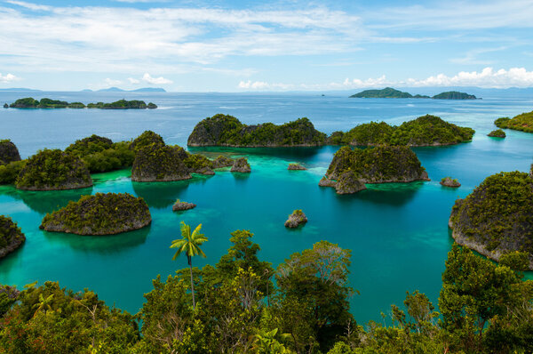 Many small green Islands belonging to Fam Island in the sea of Raja Ampat, Papua New Guinea