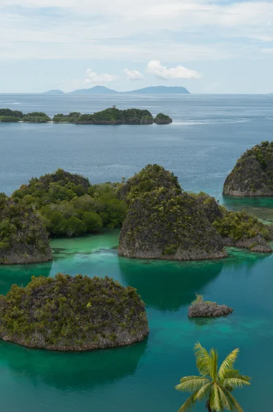 Muchas pequeñas islas verdes pertenecientes a la isla Fam en el mar de Raja Ampat, Papúa Nueva Guinea — Foto de Stock