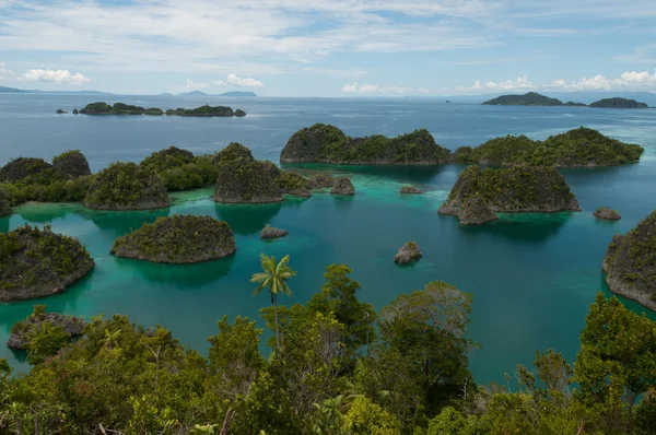 Veel kleine groene eilanden die behoren tot de Fam eiland in de zee van Raja Ampat, Papoea-Nieuw-Guinea — Stockfoto