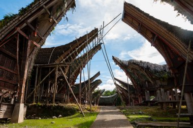 Tana Toraja Sulawesi içinde yerel ve geleneksel evleri