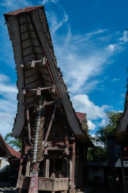 Geleneksel ev dekore ile Yang bufalo boynuzu mavi gökyüzü altında