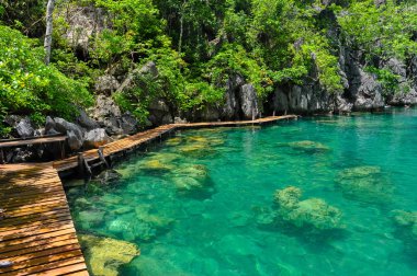 Çok temiz ve açık lagün Gölü su ahşap bir yol yanında