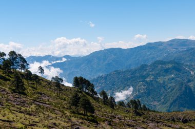 Bazı ağaçlar, doğa ile büyük mavi dağ Tajamulco önünde yeşil yamaç