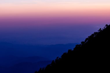 Dağ yamacı Tajamulco ağaçların önünde mor pembe mavi gün batımı ile silüeti
