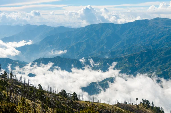 Egyes fák előtt egy nagy kék hegy Tajamulco cloudscape zöld lejtőn — Stock Fotó