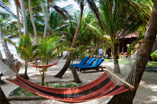 Hammocks and lounger in a Resort Under Coconut Tree Shades at the caribbean white sand beach on Corn Island — Stock Photo, Image